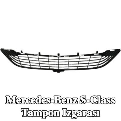 DIEDERICHS Çamurluk ızgarası Ön — Mercedes-Benz S-Class