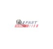 FAST Enjektör kelepçe cıvatası — 2012 Ford Focus (4)