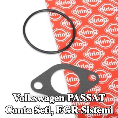 ELRING Conta seti, EGR sistemi — 1998 Volkswagen Passat