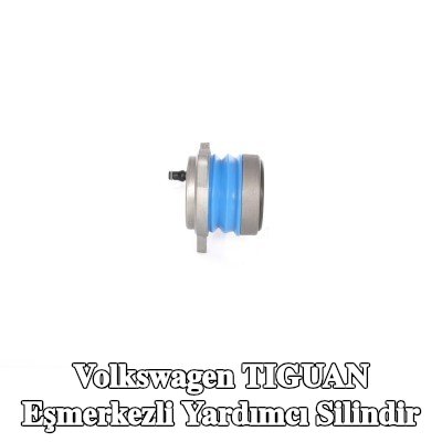 BOSCH Eşmerkezli yardımcı silindir — 2012 Volkswagen Tiguan