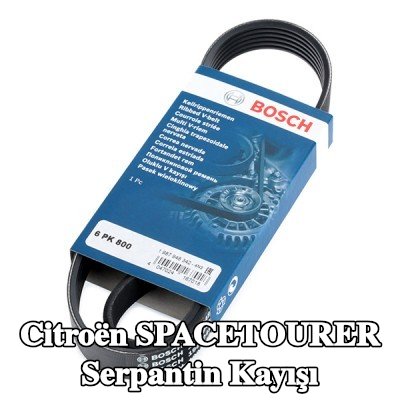 BOSCH Serpantin kayışı 800mm, Number of ribs: 6 — Citroën Spacetourer