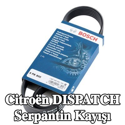 BOSCH Serpantin kayışı 800mm, Number of ribs: 6 — 2017 Citroën Dispatch