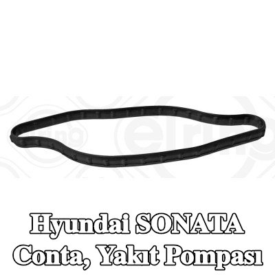 ELRING Conta, yakıt pompası Silindir Kapağı — Hyundai Sonata