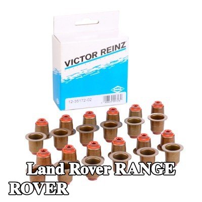 REINZ مجموعة سدادات صمامات الصمامات — 2012 Land Rover Range Rover