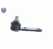 VAICO Rulman Eklemi EXPERT KITS +, Ön Aks — Ford Escort (9)