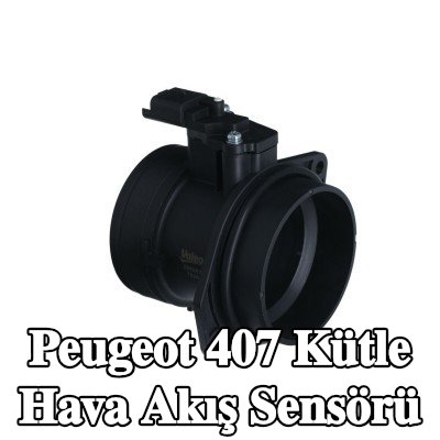 VALEO Kütle hava akış sensörü 14V, entegre hava sıcaklığı sensörlü — Peugeot 407