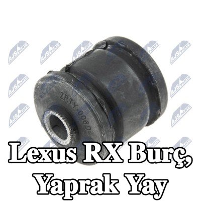 NTY Burç, yaprak yay — Lexus Rx