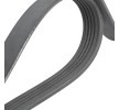 GATES V-Ribbed Kayış Seti Micro-V Kiti, Micro-V® Stretch Fit™ — 2003 BMW X3 (3)