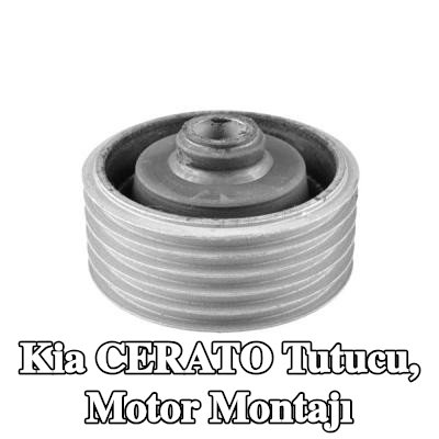 TEDGUM Tutucu, motor montajı Arka — 2004 Kia Cerato