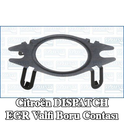 AJUSA EGR valfi boru contası — 2016 Citroën Dispatch