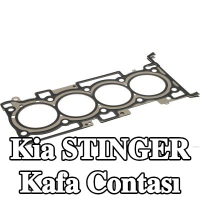 HERTH+BUSS JAKOPARTS Kafa contası Metal — Kia Stinger