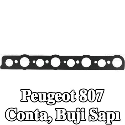REINZ Conta, buji sapı — 2002 Peugeot 807