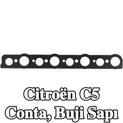 REINZ Conta, buji sapı — 2006 Citroën C5