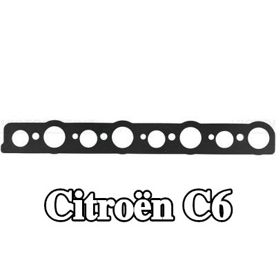 REINZ حشية، ساق شمعة الإشعال — Citroën C6