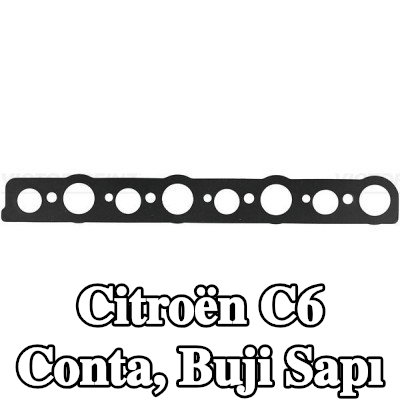 REINZ Conta, buji sapı — Citroën C6