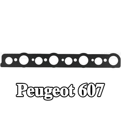 REINZ حشية، ساق شمعة الإشعال — Peugeot 607