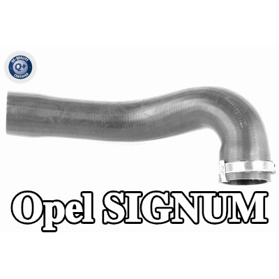 VAICO خرطوم سحب الشاحن Q+, جودة الشركة المصنعة للمعدات الأصلية — Opel Signum