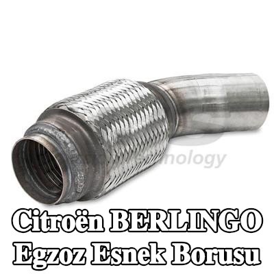 HJS Esnek egzoz borusu Ön — 2006 Citroën Berlingo