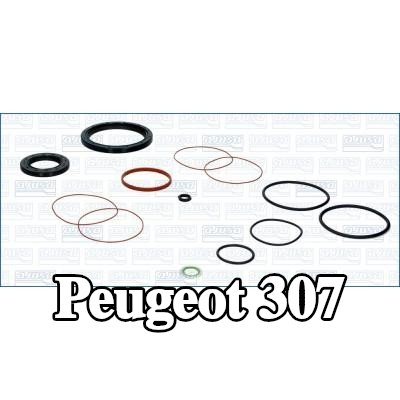 AJUSA مجموعة حشيات علبة المرافق — Peugeot 307