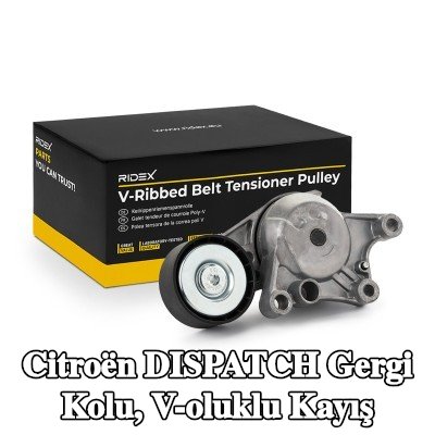 RIDEX Gergi Kolu, V-oluklu kayış — 2017 Citroën Dispatch