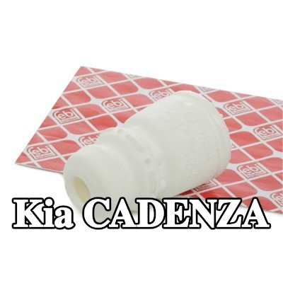 FEBI BILSTEIN مخمد مطاطي, نظام التعليق المحور الخلفي الأيسر, المحور الخلفي الأيمن — Kia Cadenza
