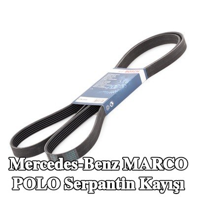 BOSCH Serpantin kayışı 2030mm, Number of ribs: 6 — Mercedes-Benz Marco Polo