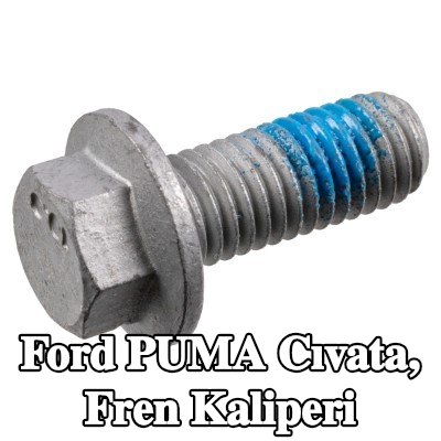 FEBI BILSTEIN Cıvata, fren kaliperi — Ford Puma