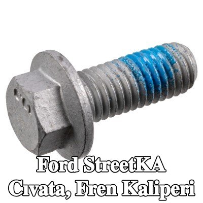 FEBI BILSTEIN Cıvata, fren kaliperi — Ford StreetKA