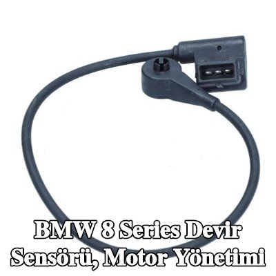 BMW DEV/DK Sensörü, kablolu motor yönetimi — BMW 8 Series