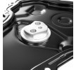 RIDEX Zamanlama kapağı — Renault Laguna (6)