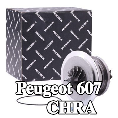 RIDEX توربو CHRA مع حشية/مانع تسرب — 2006 Peugeot 607