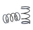 EIBACH Süspansiyon kiti, coil springs Set of 2 springs, Pro-Kit — Peugeot 206 (2)
