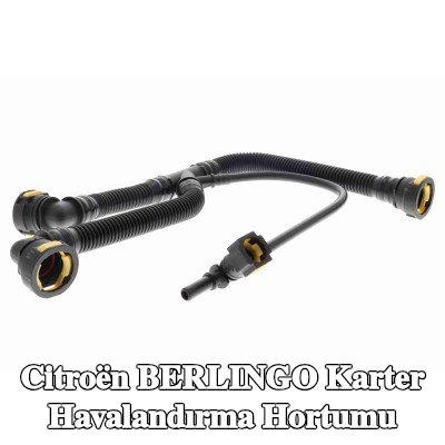 VAICO Karter havalandırma hortumu — Citroën Berlingo