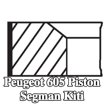 MAHLE Piston Segman Kiti — Peugeot 605