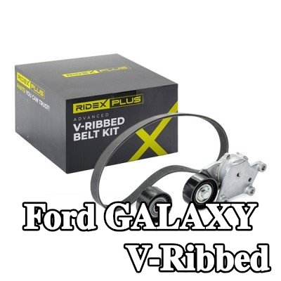 RIDEX PLUS مجموعة أحزمة V-Ribbed — 2012 Ford Galaxy