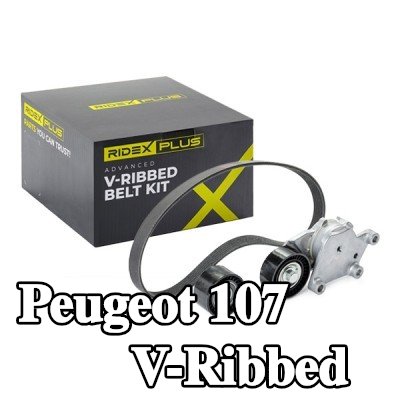RIDEX PLUS مجموعة أحزمة V-Ribbed — Peugeot 107