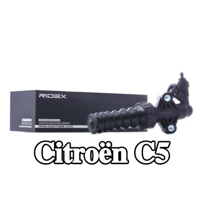 RIDEX أسطوانة تابعة متحدة المركز للأمام — 2005 Citroën C5