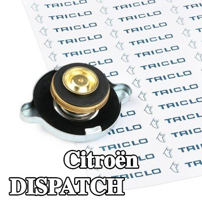 TRICLO غطاء المبرد — 2012 Citroën Dispatch
