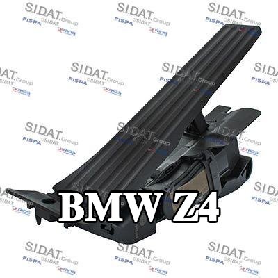 FISPA مجموعة دواسة الوقود — BMW Z4