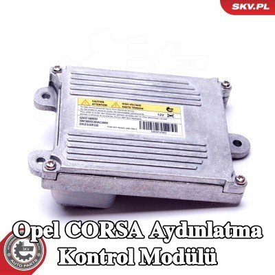 ESEN SKV Aydınlatma kontrol modülü — 2002 Opel Corsa