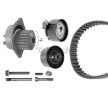 BOSCH Su pompası ve triger kayışı kiti Diş Sayısı: 134, Width: 25, 4mm — Citroën C-elysée (6)
