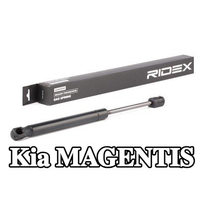 RIDEX دعامة الباب الخلفي الخلفية, 305mm — Kia Magentis