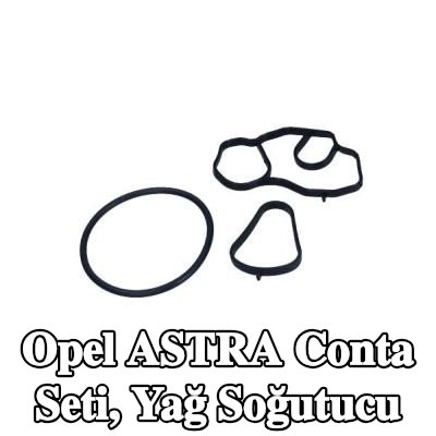 MAXGEAR Conta Seti, yağ soğutucu — 2022 Opel Astra