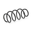SACHS Helezon yay — 2011 Volkswagen Fox (2)