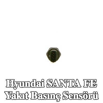 BOSCH Yakıt basınç sensörü Yüksek Basınç Tarafı — Hyundai Santa Fe