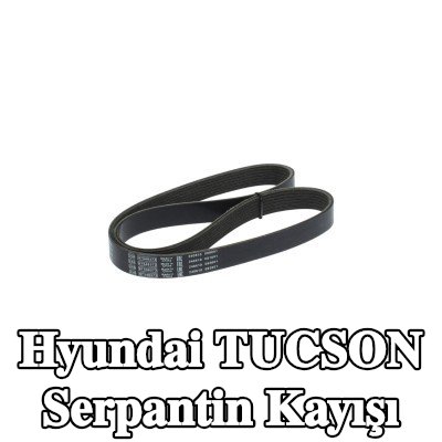 BOSCH Serpantin kayışı 1066mm, Number of ribs: 7 — Hyundai Tucson