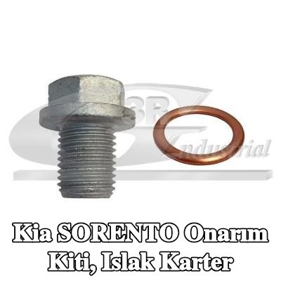 3RG Onarım Kiti, ıslak karter — Kia Sorento