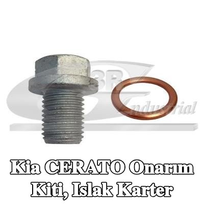 3RG Onarım Kiti, ıslak karter — Kia Cerato