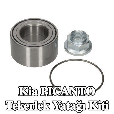 FEBI BILSTEIN Sol ön aks tekerlek yatağı kiti, Ön Aks Sağ, tutma halkası, aks somunu ile — Kia Picanto