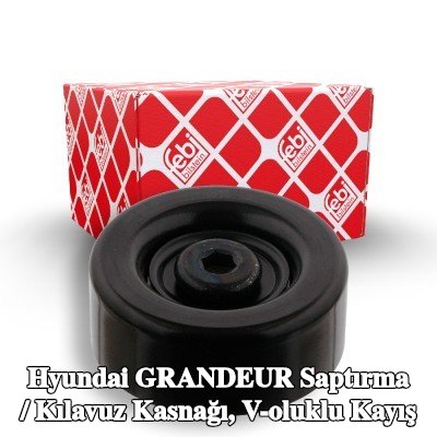 FEBI BILSTEIN Saptırma / kılavuz kasnağı, V-ribbed belt Outer Diameter: 70mm, vida ile — 2010 Hyundai Grandeur
